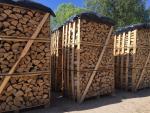 Ogrijevno drvo Breza | Gorivo, briketi | Coni alnus