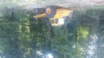 Garnitura za otpremu - forwarder VOLVO 868  |  Šumarska tehnika | Strojevi za obradu drva | Adam