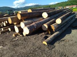 Smrča Trupci za pilanje |  Meko drvo | Trupci | Peter Haladej 