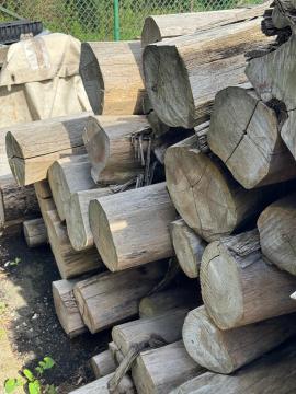 Teak Trupci za pilanje |  Tropsko drvo | Trupci | SOFT IT SP .ZO.O SPÓŁKA Z OGRANICZONĄ ODPO