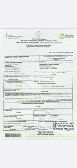 Teak Trupci za pilanje |  Tropsko drvo | Trupci | SOFT IT SP .ZO.O SPÓŁKA Z OGRANICZONĄ ODPO