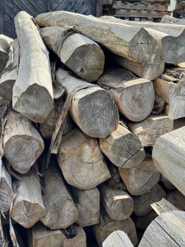 Teak Trupci za pilanje |  Tropsko drvo | Trupci | SOFT IT SP .ZO.O SPÓŁKA Z OGRANICZONĄ ODPO