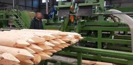 Druga oprema Kompletn výroní Linka kulů . | Tehnika za pilanje | Strojevi za obradu drva | Drekos Made s.r.o