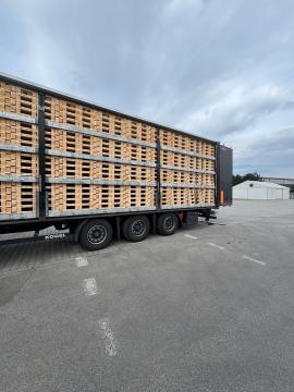 Palete Jednokratne palete | Ambalaža, palete | Woodproo s.r.o.