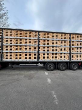 Palete Jednokratne palete | Ambalaža, palete | Woodproo s.r.o.