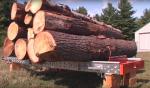 Tračna pila za debla Kanada -HD36 |  Tehnika za pilanje | Strojevi za obradu drva | Drekos Made s.r.o