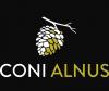 Coni alnus Coni alnus